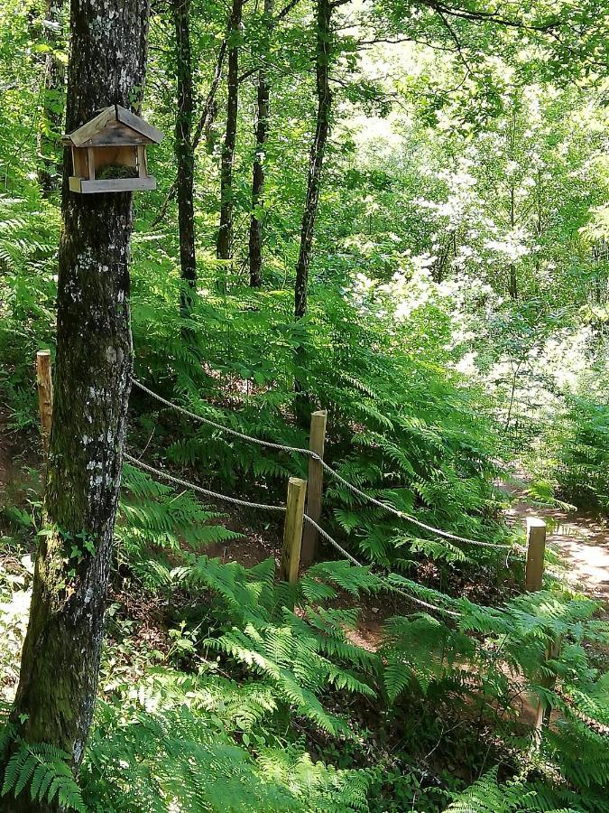 Ma Cabane En Aveyron Conques-en-Rouergue Exterior foto